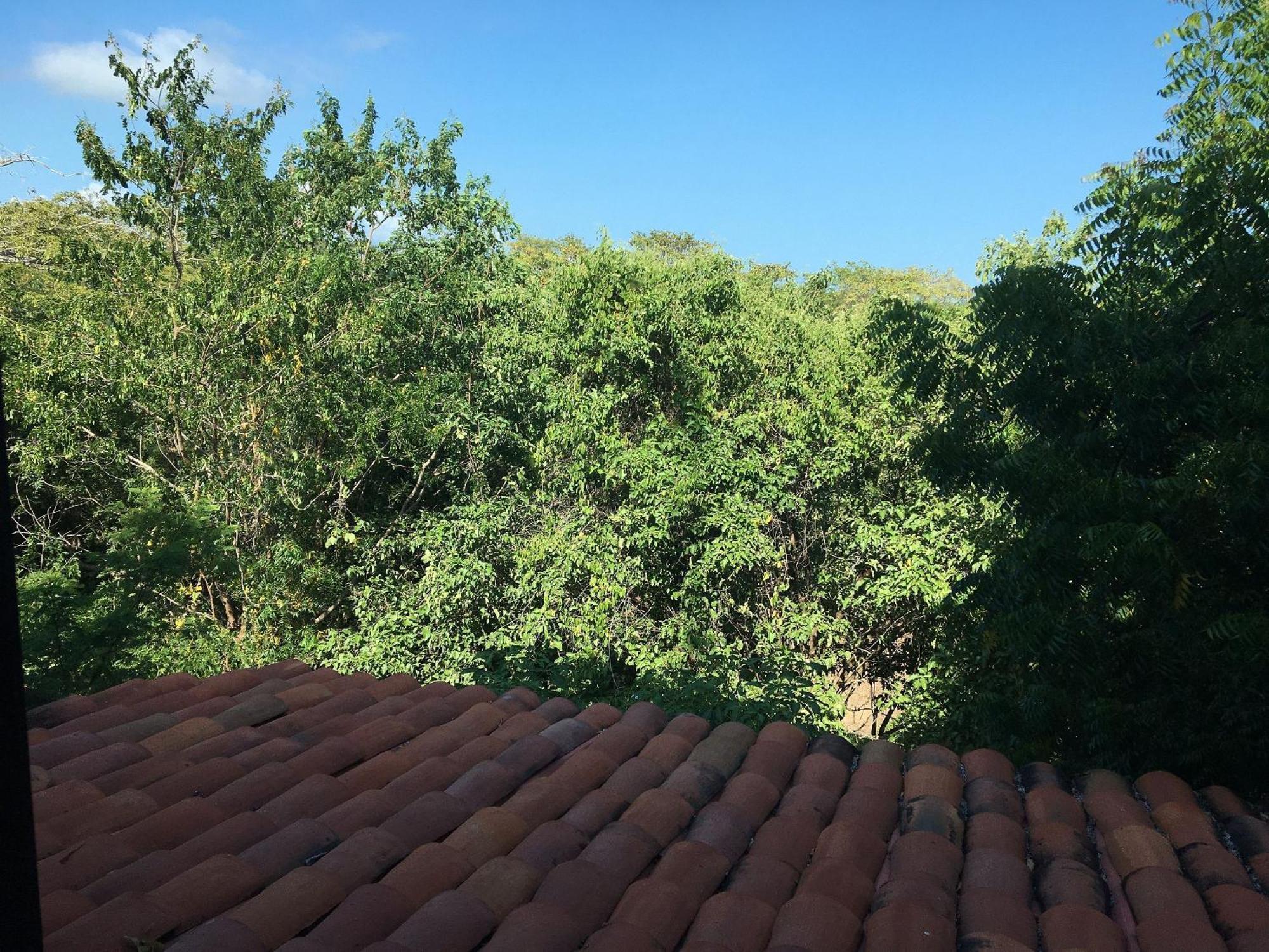 Centro Sati Bungalow Cuatunalco Dış mekan fotoğraf