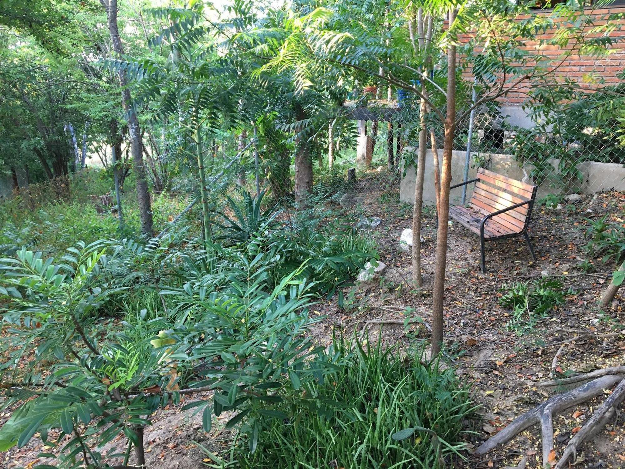 Centro Sati Bungalow Cuatunalco Dış mekan fotoğraf